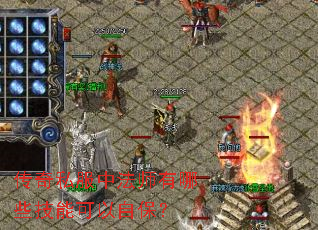 传奇私服中法师有哪些技能可以自保？