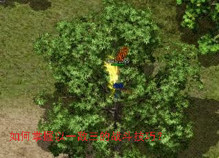 如何掌握以一敌三的战斗技巧？