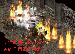 如何利用终极送宝神树的作用赢得胜利？