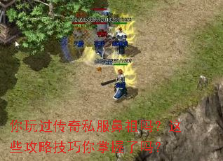 你玩过传奇私服鼻祖吗?这些攻略技巧你掌握了吗? 你玩过传奇私服鼻祖吗?这些攻略技巧你掌握了吗?