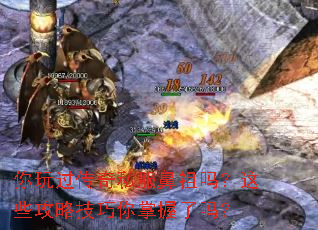 你玩过传奇私服鼻祖吗?这些攻略技巧你掌握了吗? 你玩过传奇私服鼻祖吗?这些攻略技巧你掌握了吗?