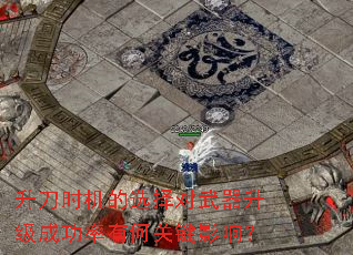 升刀时机的选择对武器升级成功率有何关键影响？