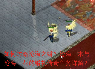如何攻略沧海之婚?沧海一木与沧海一花的婚礼传奇任务详解? 如何攻略沧海之婚?沧海一木与沧海一花的婚礼传奇任务详解?