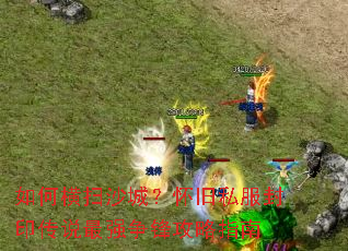 如何横扫沙城？怀旧私服封印传说最强争锋攻略指南