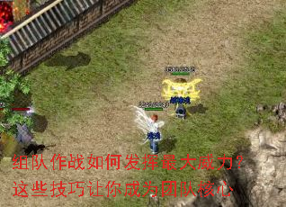 组队作战如何发挥最大威力?这些技巧让你成为团队核心 组队作战如何发挥最大威力?这些技巧让你成为团队核心