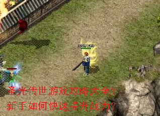 圣光传世游戏攻略大全？新手如何快速提升战力？