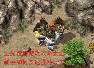 圣光传世游戏攻略大全？新手如何快速提升战力？