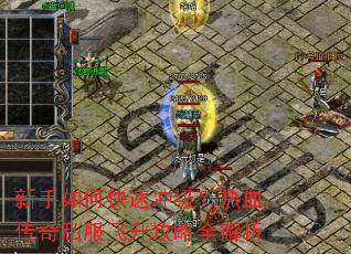 新手如何快速冲级？热血传奇私服飞升攻略全解析