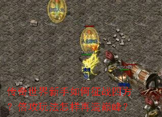 传奇世界新手如何征战四方?倍攻玩法怎样再造巅峰? 传奇世界新手如何征战四方?倍攻玩法怎样再造巅峰?