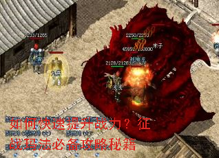 如何快速提升战力？征战玛法必备攻略秘籍