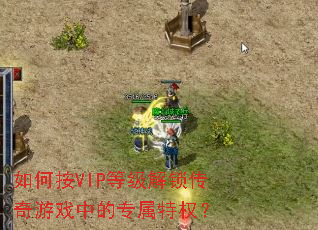 如何按VIP等级解锁传奇游戏中的专属特权？