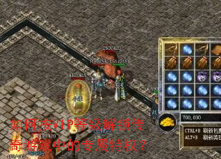 如何按VIP等级解锁传奇游戏中的专属特权？