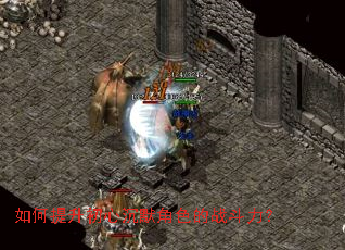 如何提升初心沉默角色的战斗力？