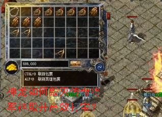 神龙如何毁灭传奇将军神殿并高效打宝？