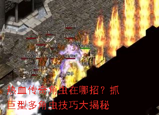 热血传奇角虫在哪招？抓巨型多角虫技巧大揭秘