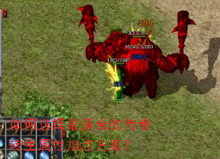 如何选择最适合的传奇转生属性加点方案？