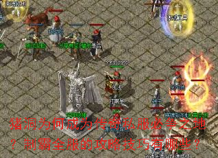 猪洞为何成为传奇私服必争之地？制霸全服的攻略技巧有哪些？