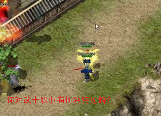 你对武士职业有何独特见解？