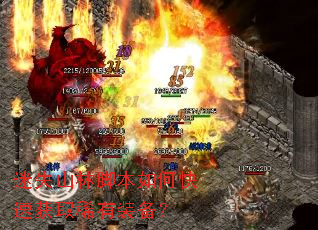 迷失山林脚本如何快速获取稀有装备？