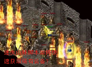 迷失山林脚本如何快速获取稀有装备？