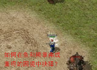 如何在鱼和熊掌弗成兼得的困境中抉择？