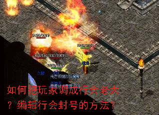 如何把玩家调成行会老大？编辑行会封号的方法？