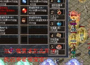 法师兽灵术怎么用才能召唤最强宝宝? 法师兽灵术怎么用才能召唤最强宝宝?