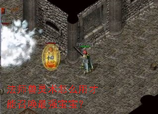 法师兽灵术怎么用才能召唤最强宝宝? 法师兽灵术怎么用才能召唤最强宝宝?