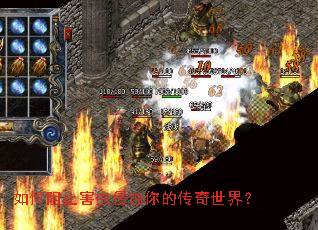 如何阻止害虫侵蚀你的传奇世界？