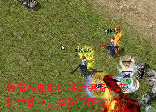 传奇私服新区鉴定装备，怎样才能少走弯路不踩坑？