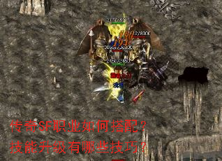 传奇SF职业如何搭配？技能升级有哪些技巧？