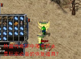 热血传奇SF中哪些药水是玩家必备的恢复道具? 热血传奇SF中哪些药水是玩家必备的恢复道具?