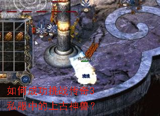 如何成功挑战传奇3私服中的上古神兽？