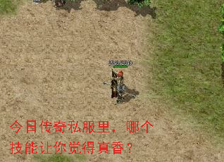 今日传奇私服里，哪个技能让你觉得真香？