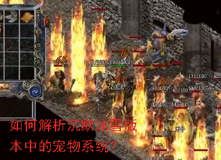 如何解析沉默冰雪版本中的宠物系统? 如何解析沉默冰雪版本中的宠物系统?