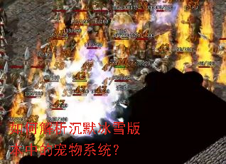 如何解析沉默冰雪版本中的宠物系统? 如何解析沉默冰雪版本中的宠物系统?