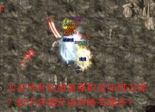 沙皇传世私服最强职业如何选择？新手快速升级攻略有哪些？