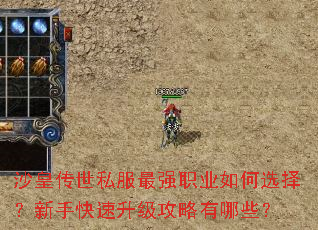 沙皇传世私服最强职业如何选择？新手快速升级攻略有哪些？