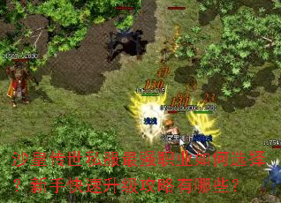 沙皇传世私服最强职业如何选择？新手快速升级攻略有哪些？