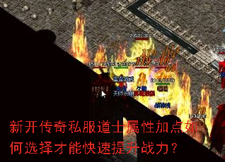 新开传奇私服道士属性加点如何选择才能快速提升战力？