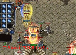 野外boss通关打法全解析? 野外boss通关打法全解析?