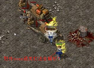 野外boss通关打法全解析? 野外boss通关打法全解析?