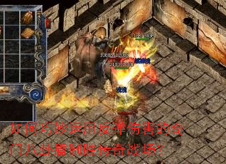如何巧妙运用反弹伤害的奇门八卦盾制胜传奇战场？