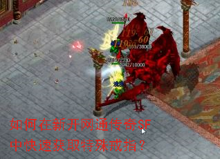 如何在新开网通传奇SF中快速获取特殊戒指？