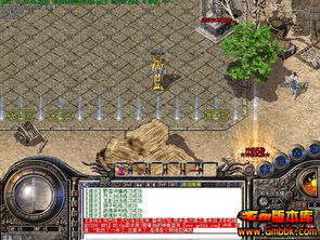 变态传奇私服发布网,游戏私服选择指南与安全解析