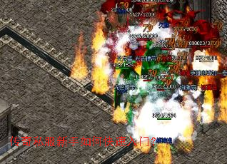 传奇私服新手如何快速入门? 传奇私服新手如何快速入门?