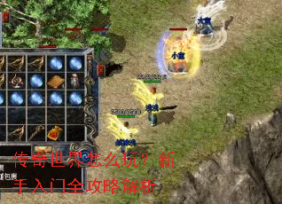 传奇世界怎么玩？新手入门全攻略解析