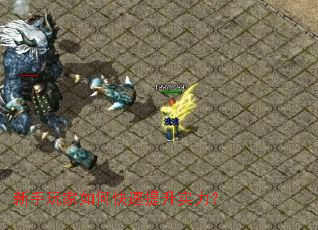 新手玩家如何快速提升实力？