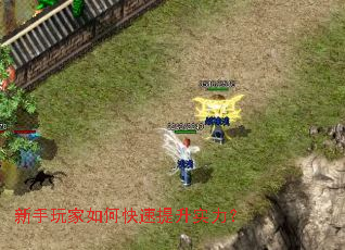 新手玩家如何快速提升实力？