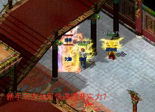 新手玩家如何快速提升实力？